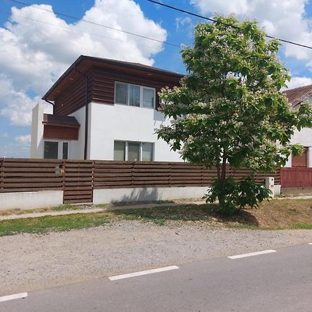 Săcueni Vila Onix מראה חיצוני תמונה