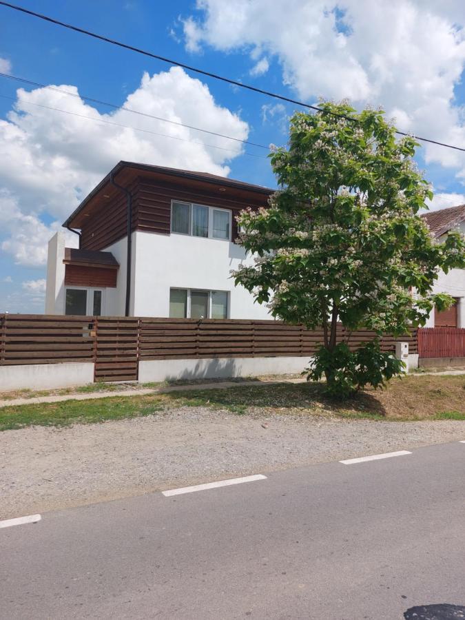Săcueni Vila Onix מראה חיצוני תמונה
