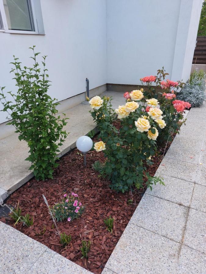 Săcueni Vila Onix מראה חיצוני תמונה